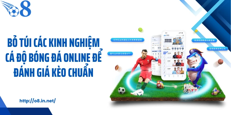 Bỏ túi các kinh nghiệm cá độ bóng đá online để đánh giá kèo chuẩn