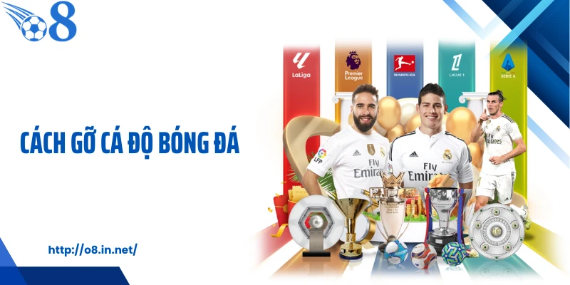 Cách Gỡ Cá Độ Bóng Đá Và Những Sự Thật Ít Ai Nhắc Đến